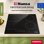Варочная панель Hansa BHI68800 VSK2315041 фото